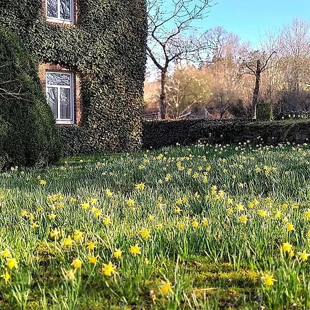펜션 Ruhiges, Gemuetliches Mit Grossem Garten 와이메스